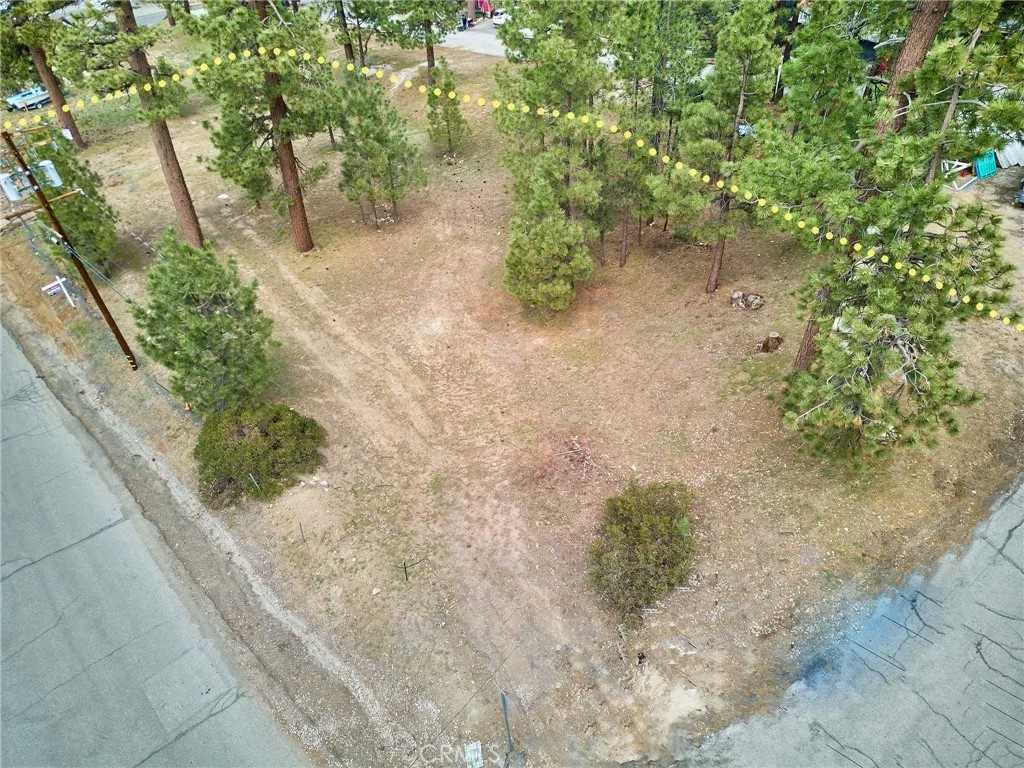 545 Wren