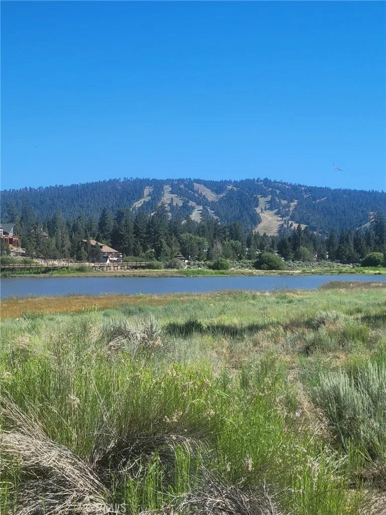 38 North Shore