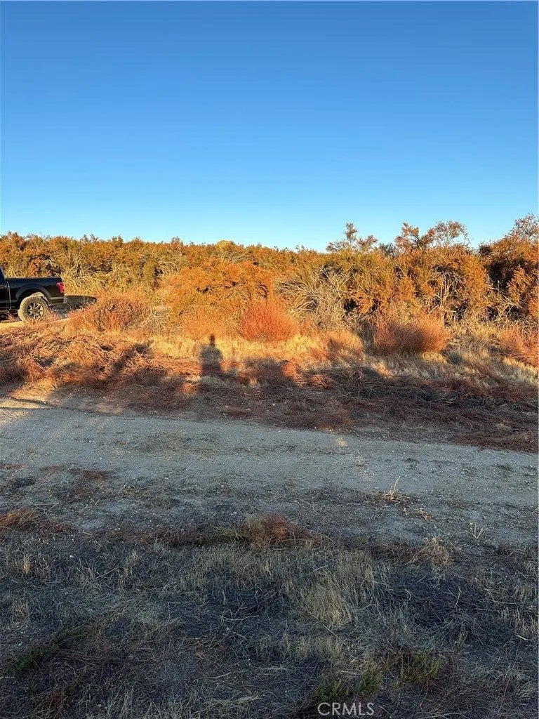 84 Sable