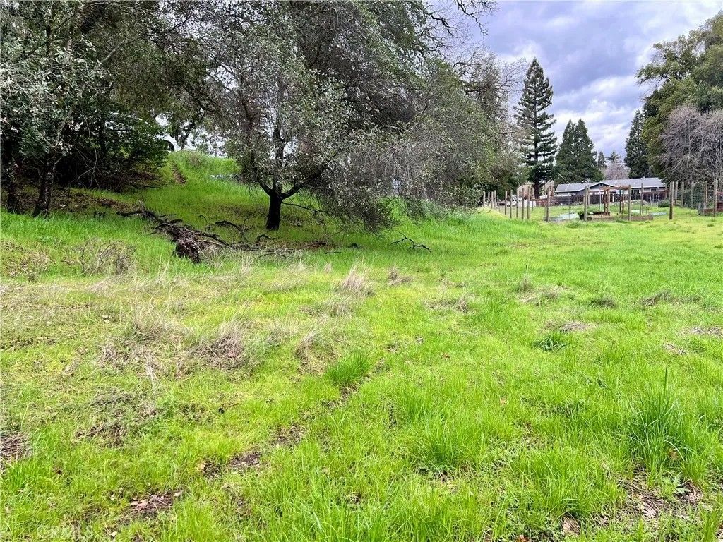 Photo of 6590 Hotel Rd, Lucerne, CA 95458 (MLS # LC26032293)