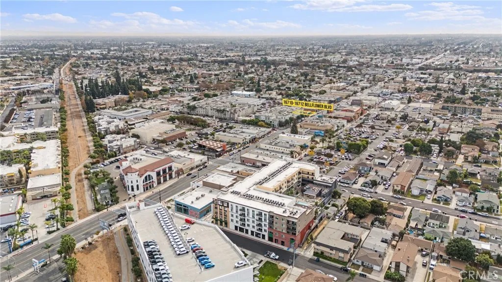 16712 Bellflower