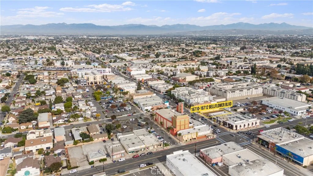 16712 Bellflower