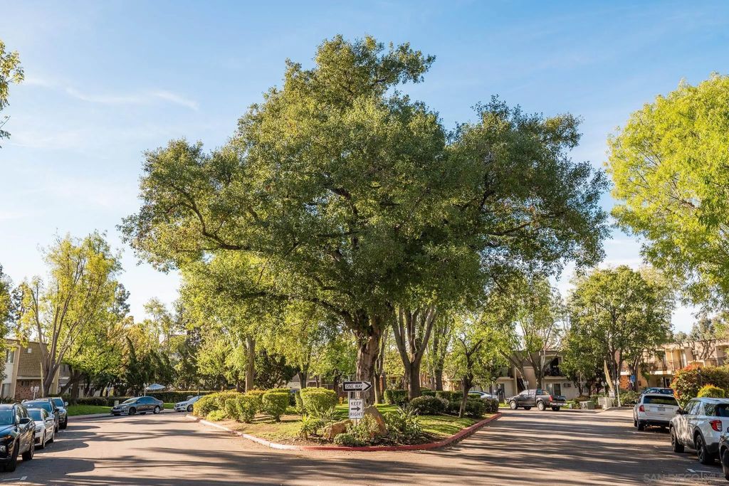 Photo of 4800 Williamsburg Ln #228, La Mesa, CA 91942 (MLS # 260004243)