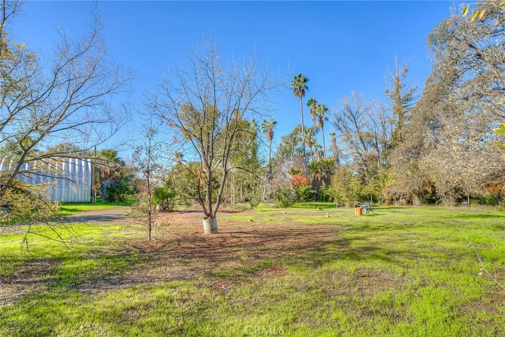 3570 Olive Highway