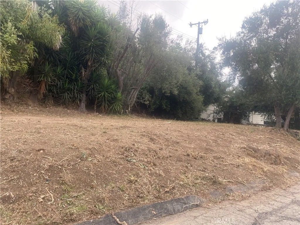 Photo of 161 W W. Hidden Ln, La Habra, CA 90631 (MLS # OC26005694)