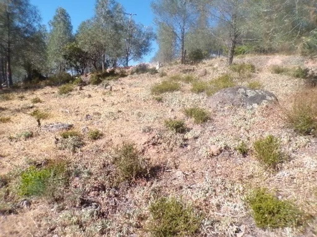 Photo of 10070 El Capitan Way, Kelseyville, CA 95451 (MLS # LC26074297)