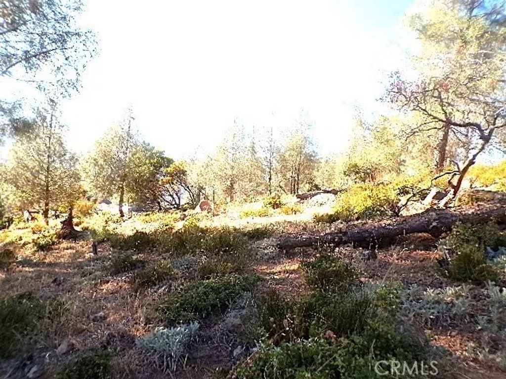 Photo of 10070 El Capitan Way, Kelseyville, CA 95451 (MLS # LC26074297)