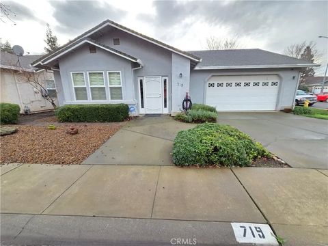 Photo of 719 Picaso Ln, Chico, CA 95926 (MLS # SN25274786)