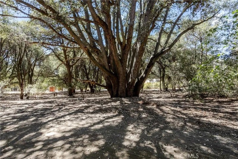 39922 Pine Bench Road