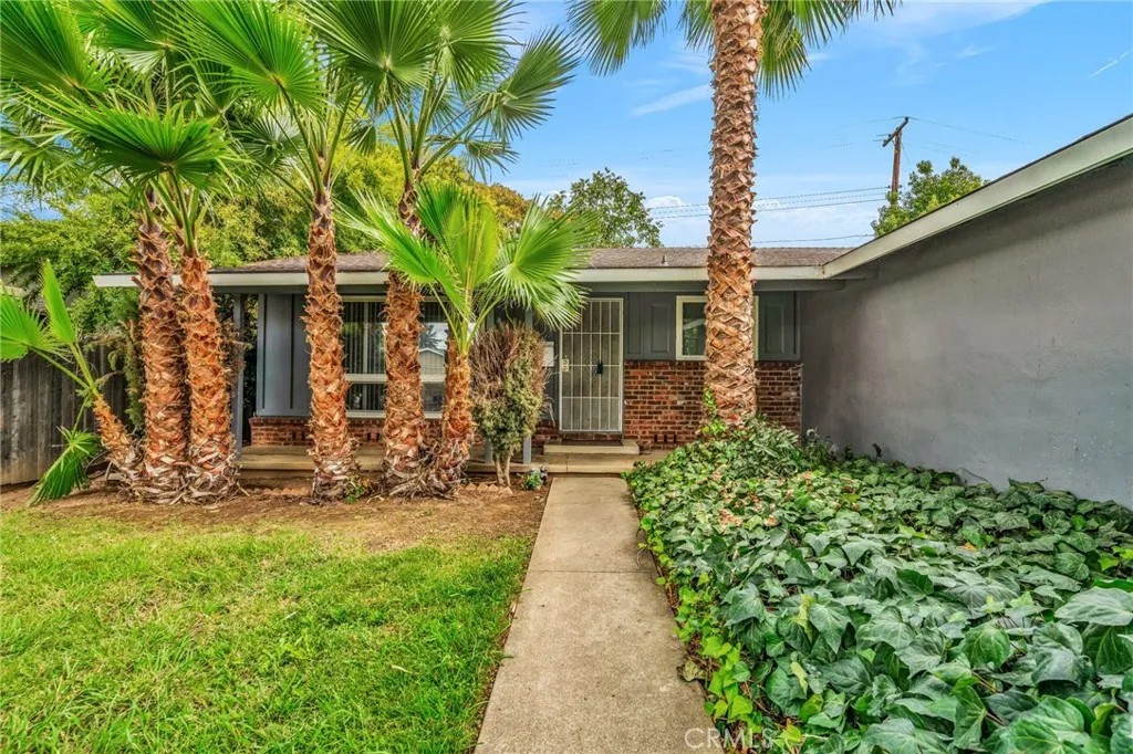 3361 Brunner Drive