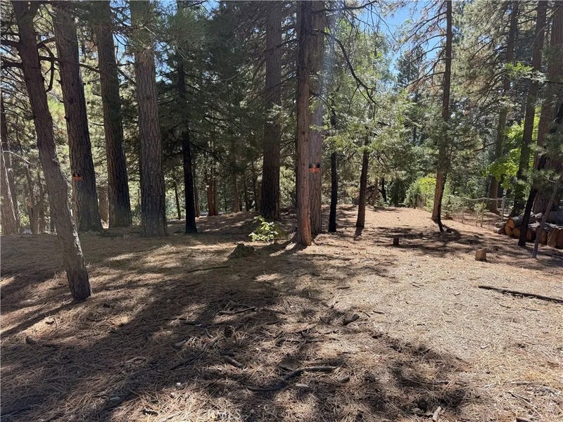 31307 Circle View