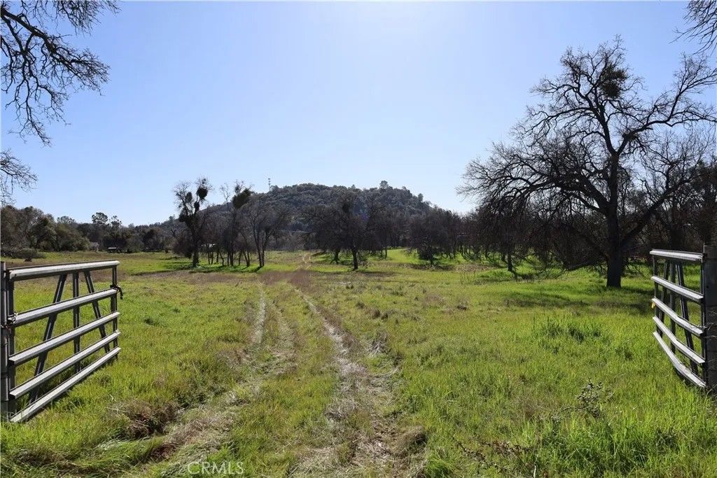 Photo of 0 Douglas, Coarsegold, CA 93614 (MLS # FR26032945)