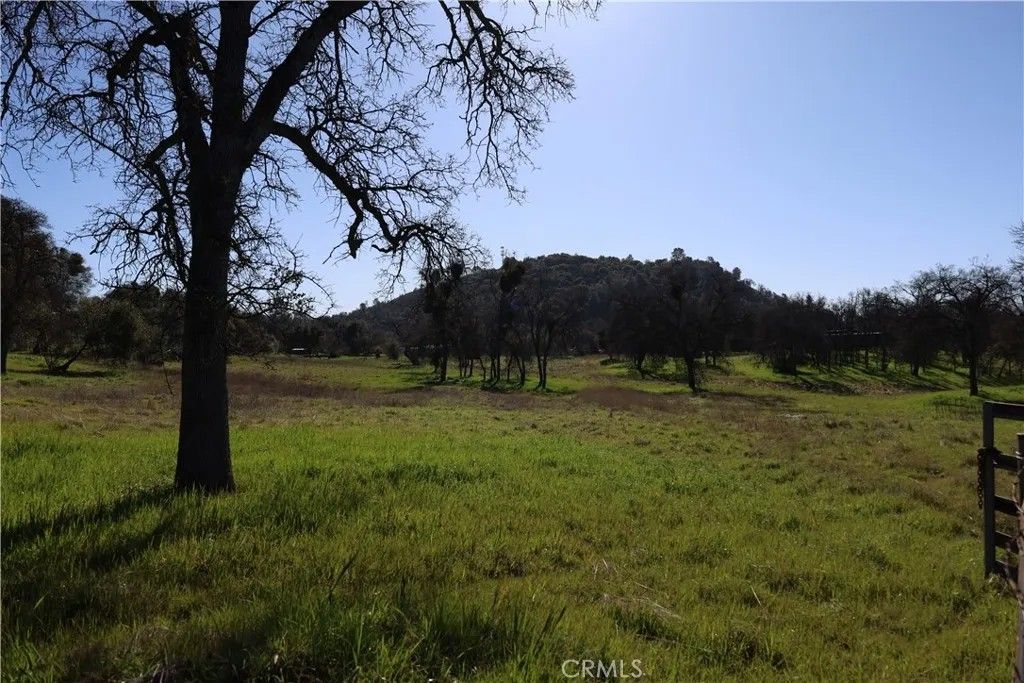 Photo of 0 Douglas, Coarsegold, CA 93614 (MLS # FR26032945)