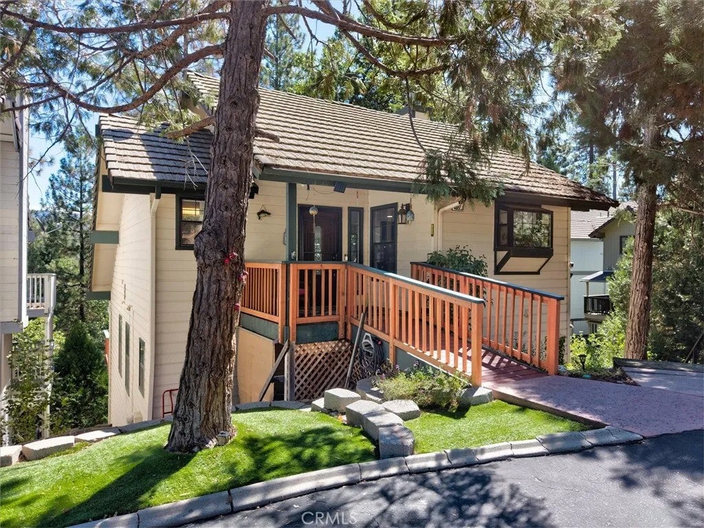 40593 Saddleback