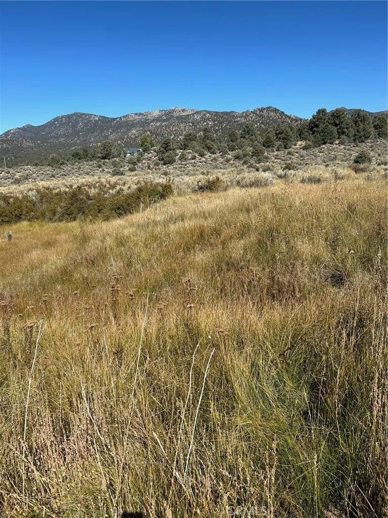 0 310-240-001 Kennedy Meadows