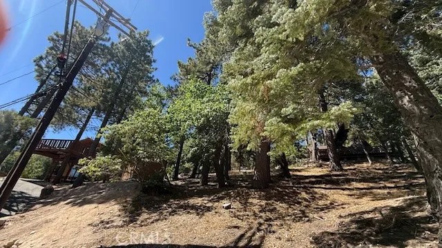 33112 Juniper
