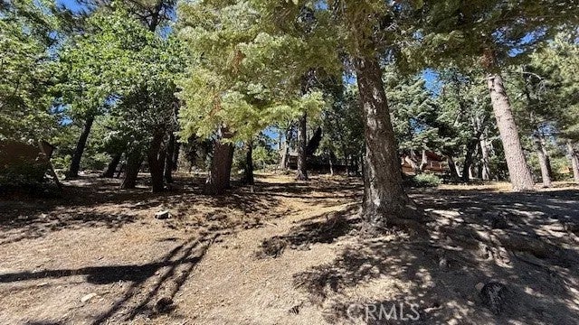33112 Juniper