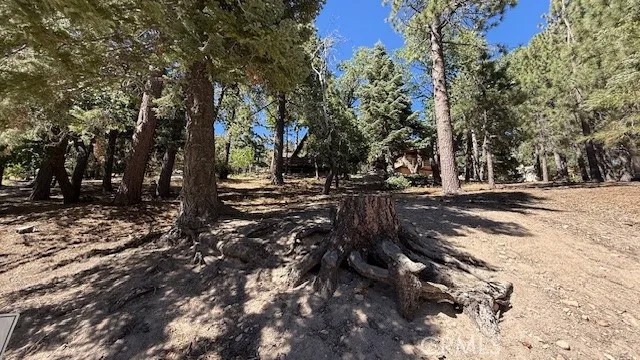 33112 Juniper