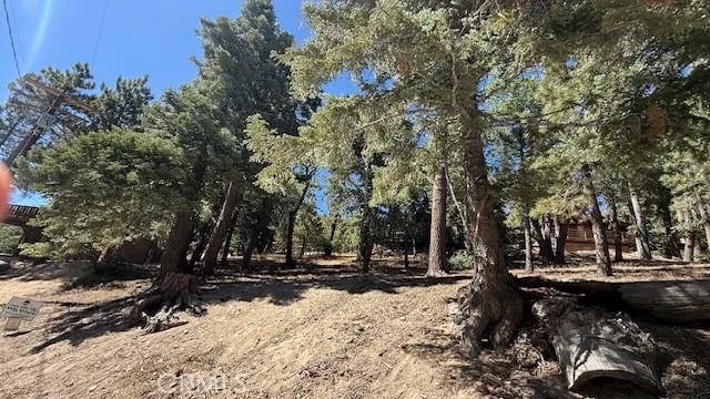 33112 Juniper