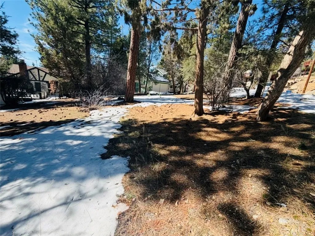 808 Antelope Mountain
