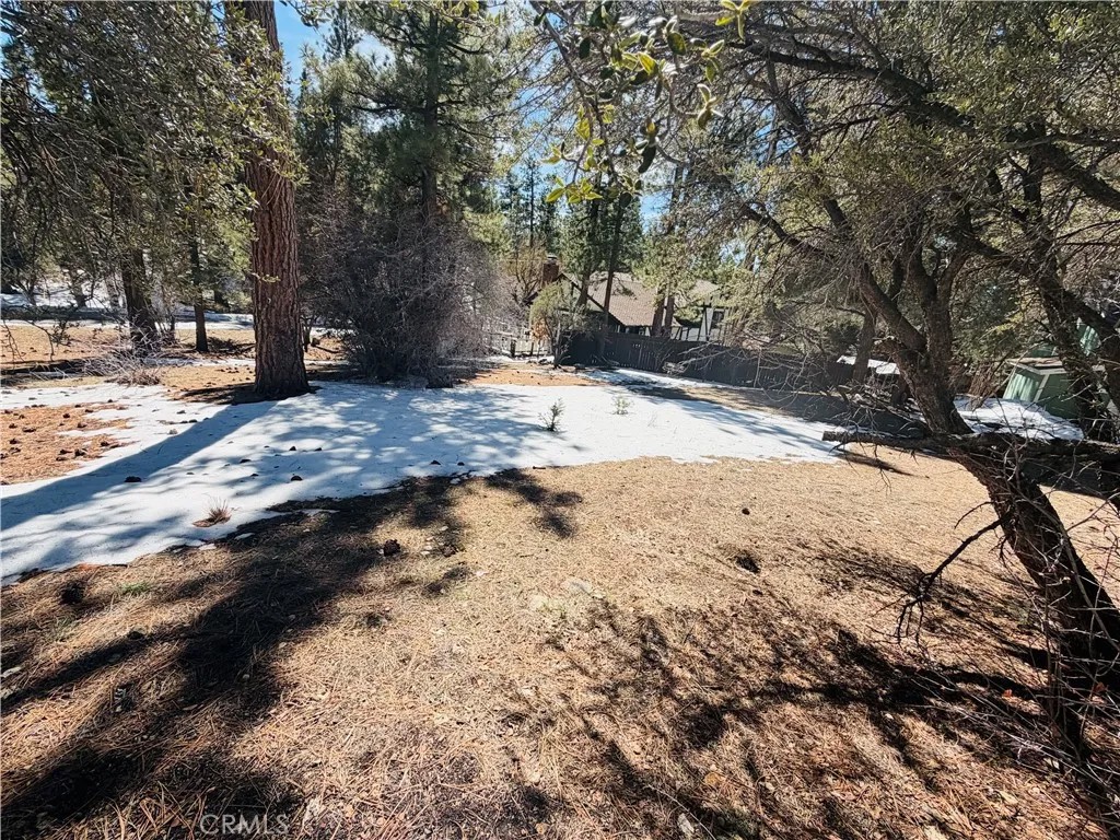 808 Antelope Mountain