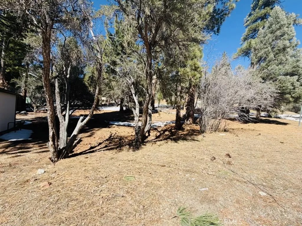 808 Antelope Mountain