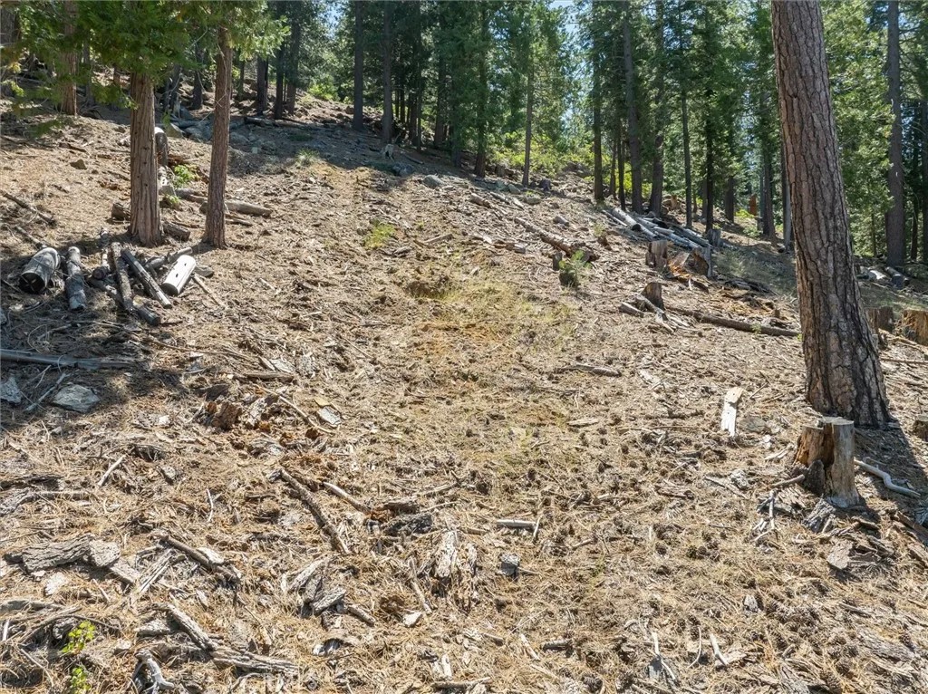 7343 Yosemite Park