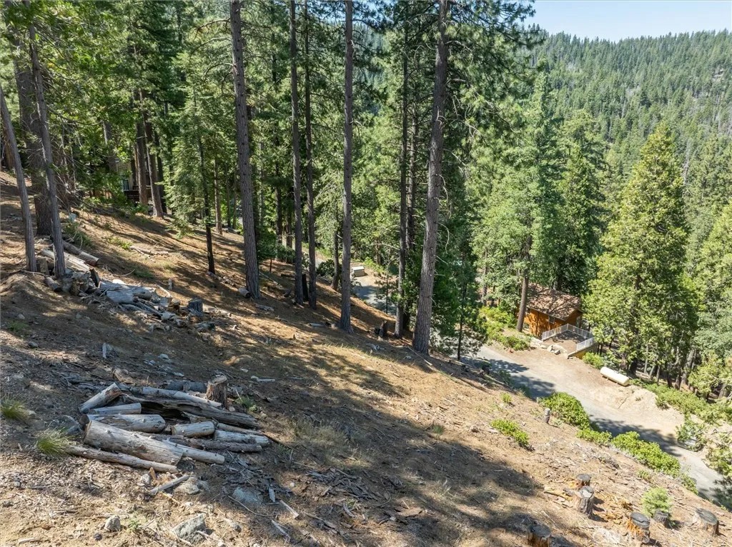 7343 Yosemite Park