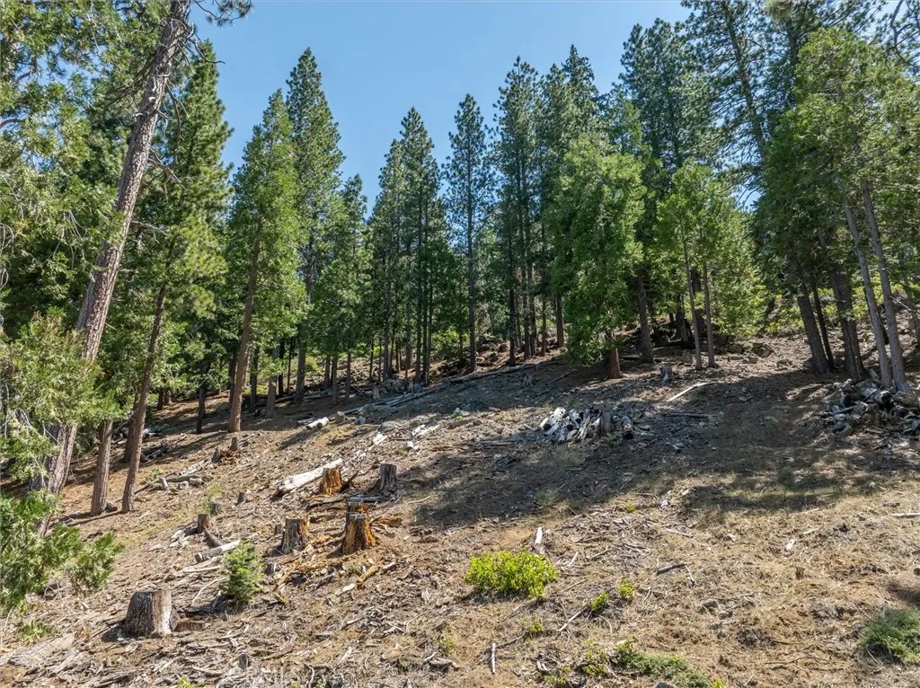 7343 Yosemite Park