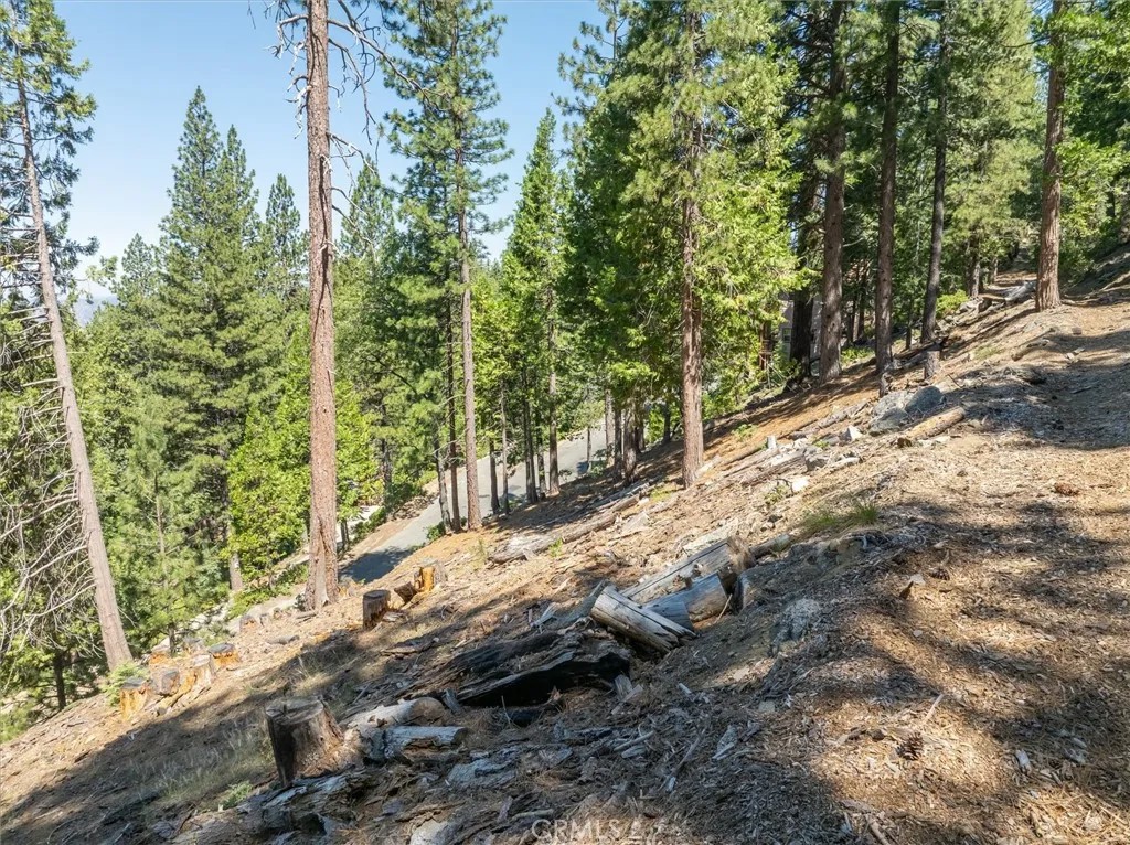 7343 Yosemite Park