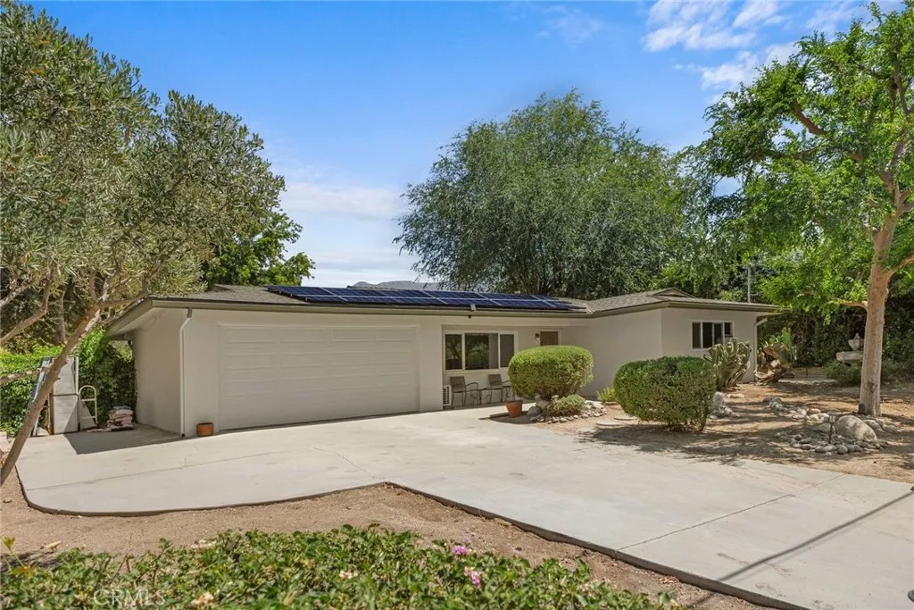 39664 Orchard