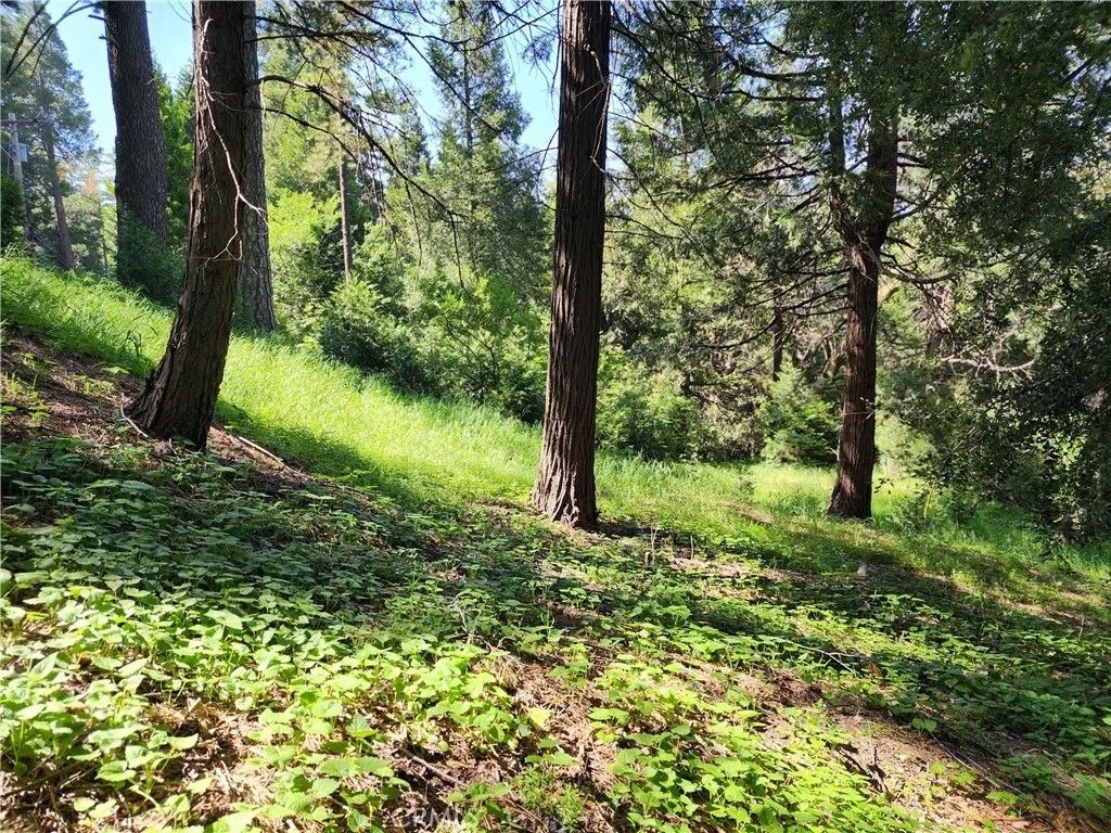 Photo of 811 Deer, Crestline, CA 92325 (MLS # IG25276490)