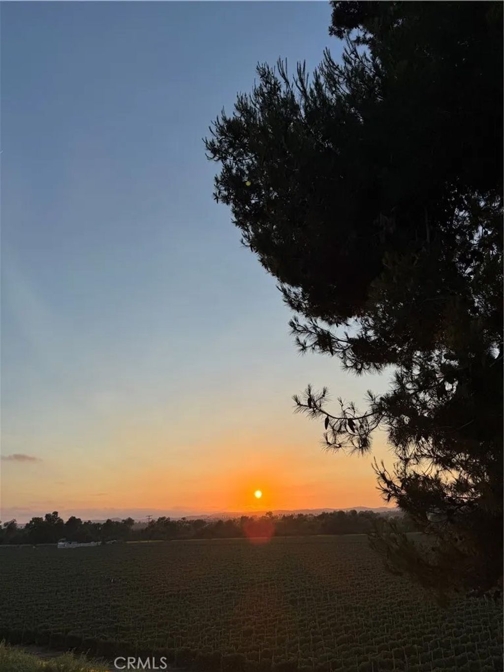 Photo of 5392 Gooseberry Way, Oceanside, CA 92057 (MLS # OC26006841)