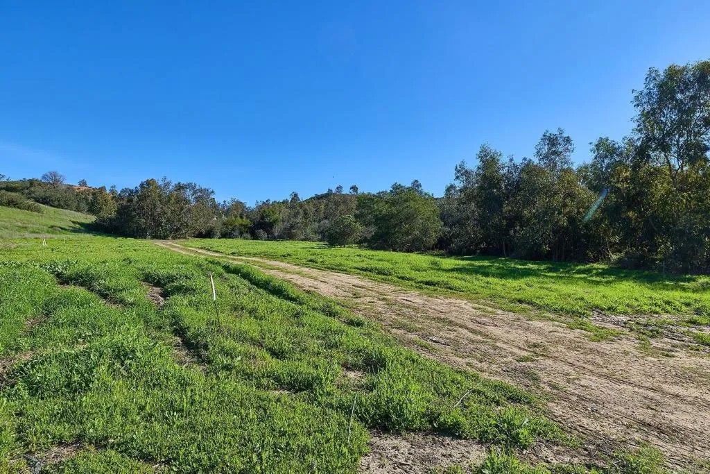 16331 Rambla De Las Flores