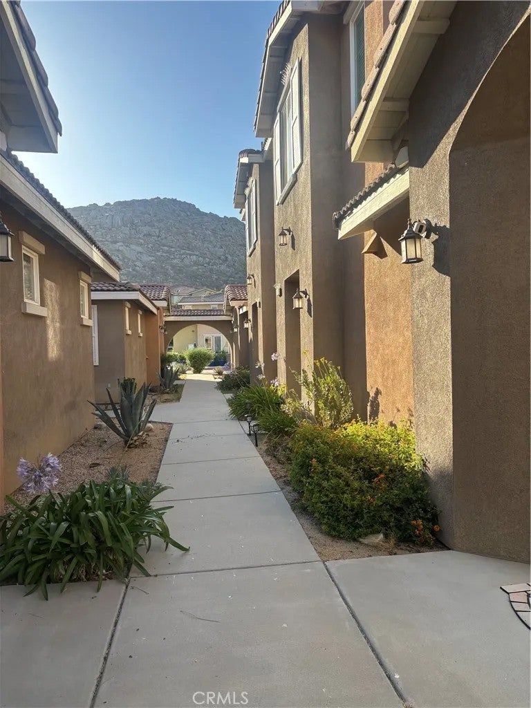 824 Coriander 504