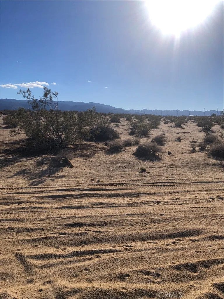 Photo of 1 Pampas, 29 Palms, CA 92277 (MLS # JT26157465)