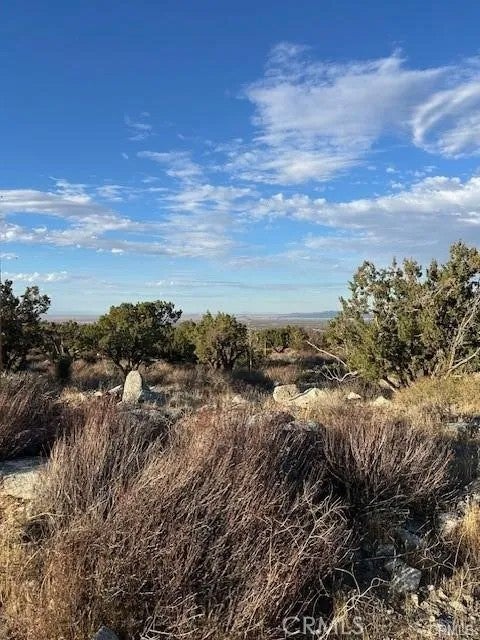 0 Yucca APN#306702110