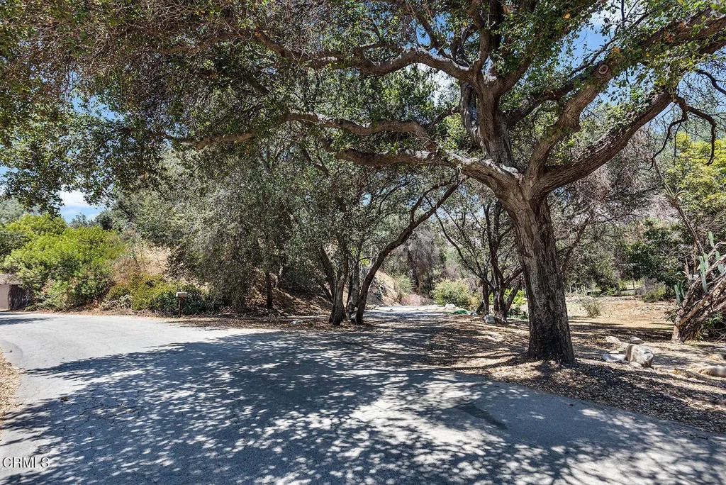 3705 Alzada Rd