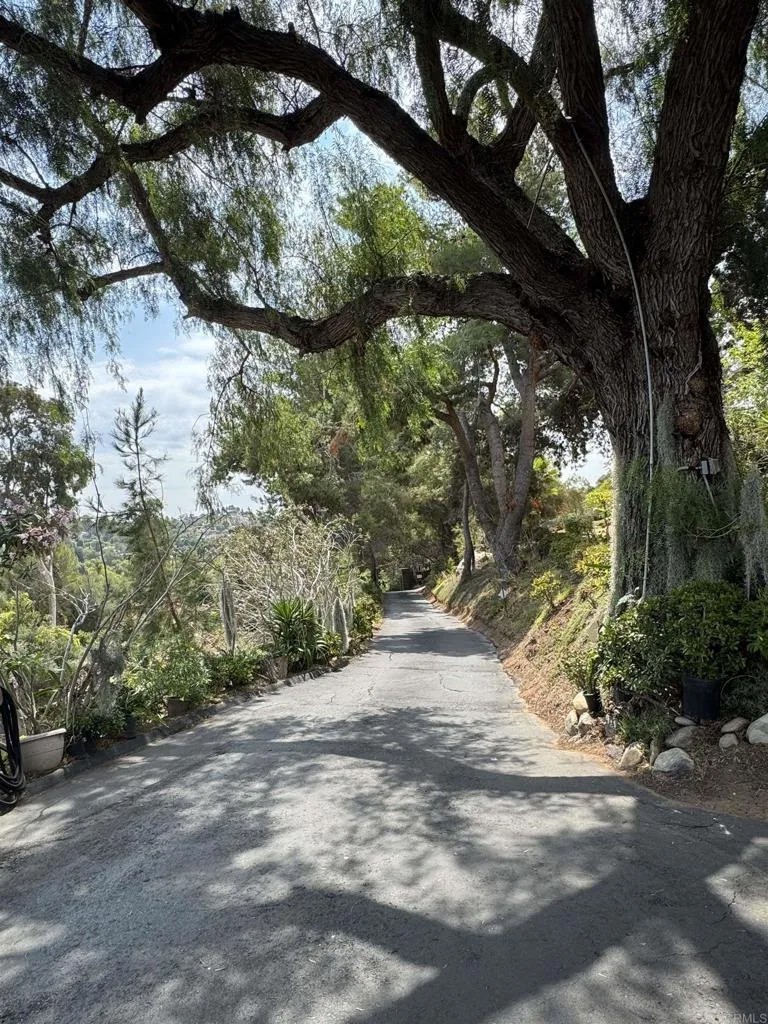 1135 OLD CHASE AVENUE