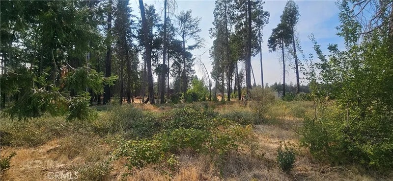 13901 W Park