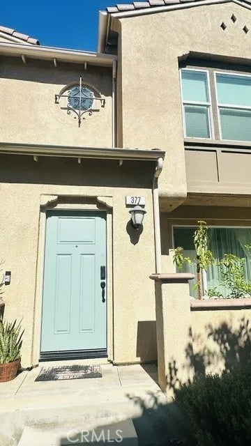 7155 Citrus 377