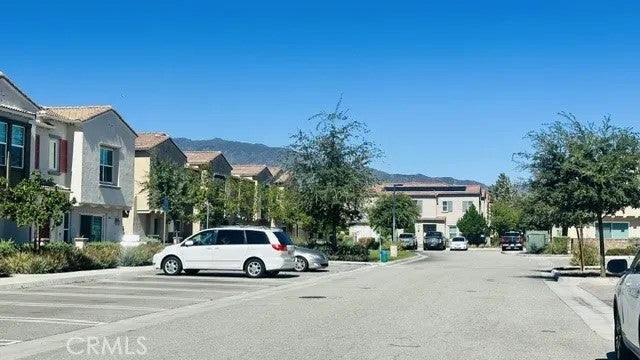 7155 Citrus 377