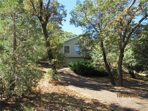 Photo of 3220 Salton Vista, Julian, CA 92036 (MLS # SW25246317)