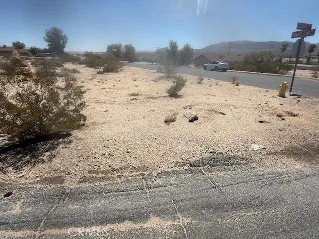 1234 Ocotillo