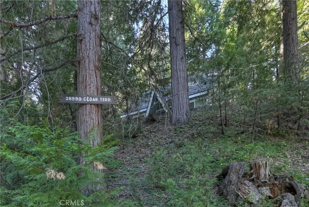 28999 Cedar Terrace
