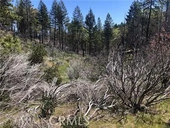 7097 High Valley