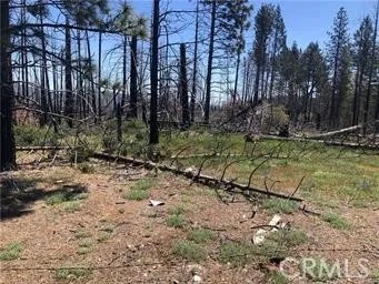 7097 High Valley