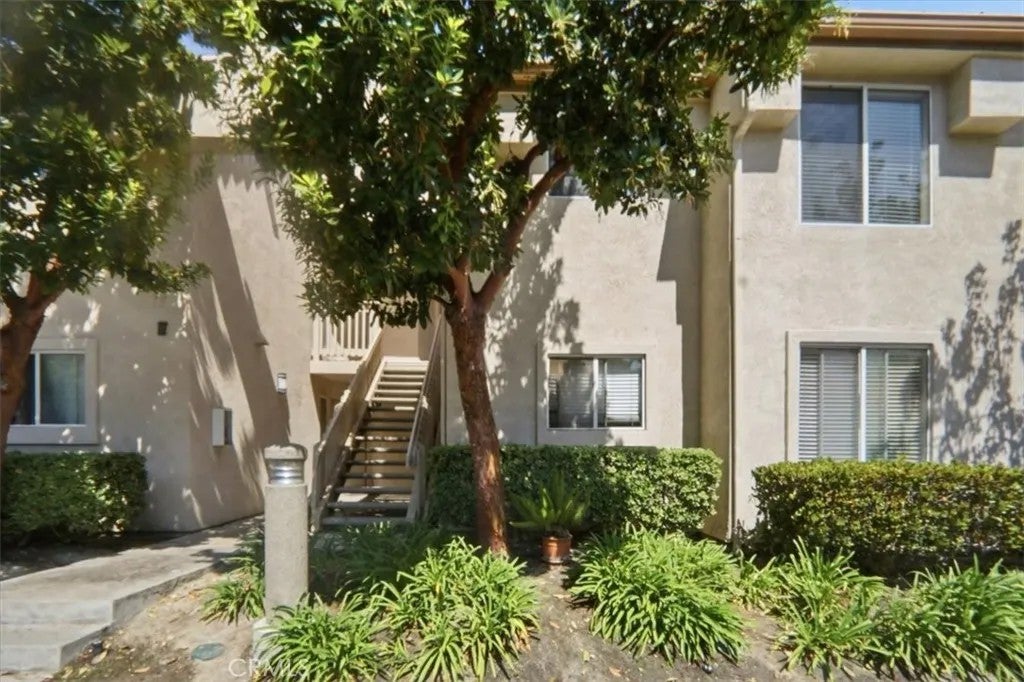 26342 Forest Ridge