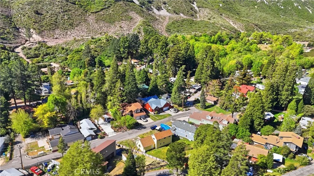 13894 Meadow
