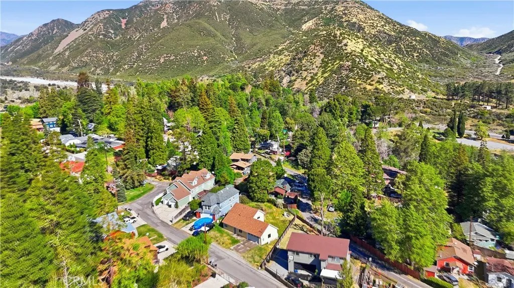 13894 Meadow